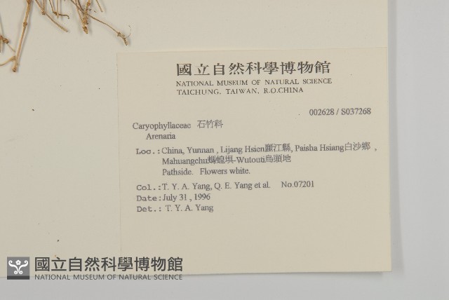 登錄號:S037268藏品圖，第2張