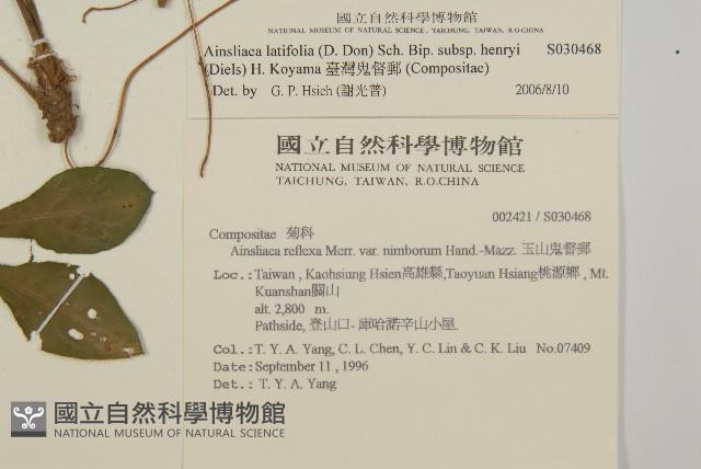 Accession Number:S030468 Collection Image, Figure 2, Total 2 Figures