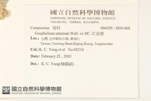 紅面番藏品圖，第2張