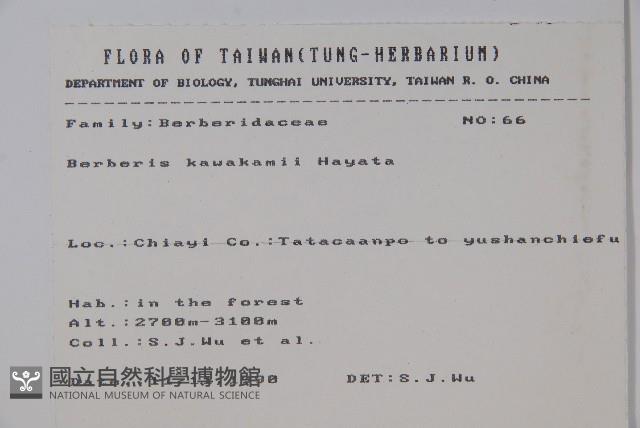 臺灣小蘗藏品圖，第2張