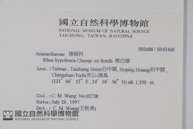 裡白漆藏品圖，第2張