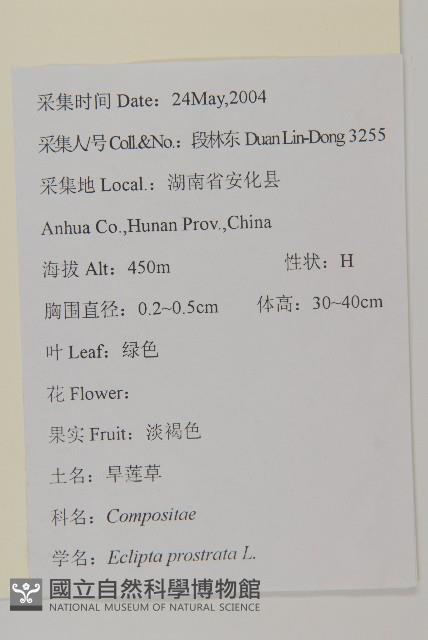 鱧腸藏品圖，第2張