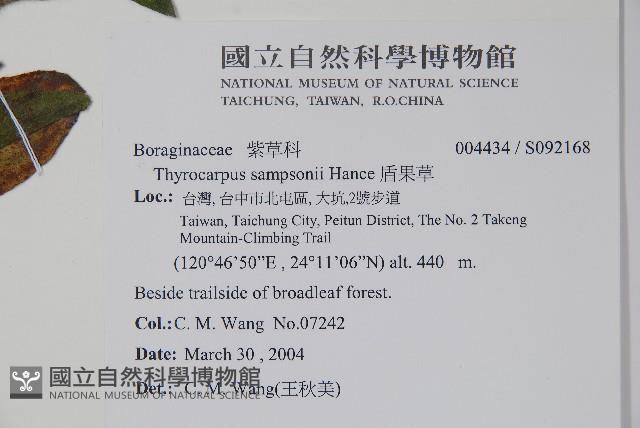 盾果草藏品圖，第2張