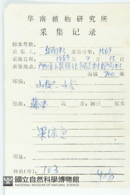 馬交兒藏品圖，第2張