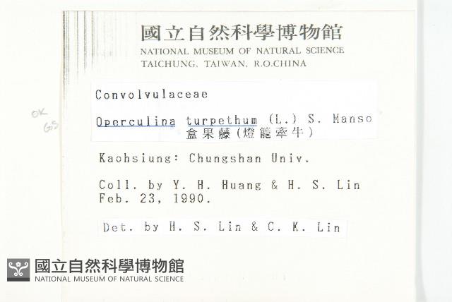 盒果藤藏品圖，第2張