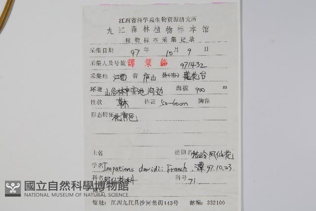 牯嶺鳳仙花藏品圖，第2張