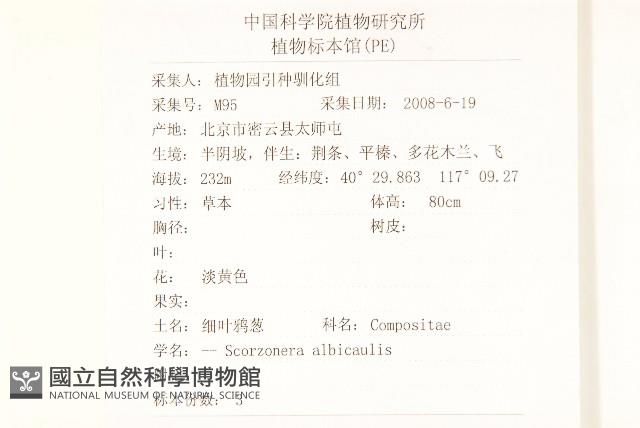 芼管草藏品圖，第2張