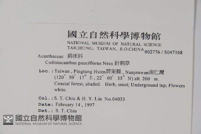 針刺草藏品圖，第2張