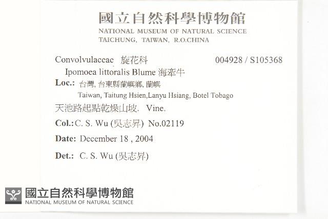 海牽牛藏品圖，第2張