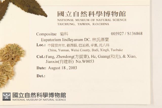 林氏澤蘭藏品圖，第2張