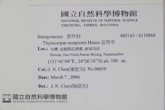 盾果草藏品圖，第2張