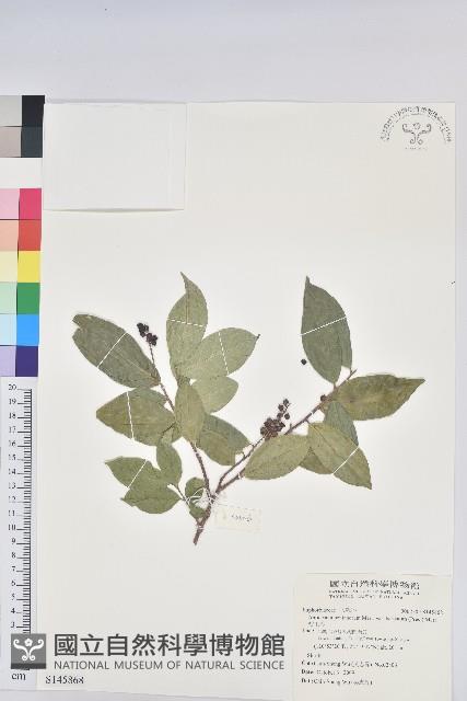 枯里珍藏品圖，第1張