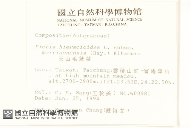 玉山毛蓮菜藏品圖，第2張