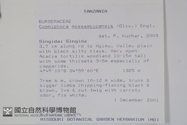 登錄號:S093868藏品圖，第2張