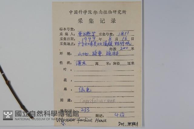 南方莢迷藏品圖，第2張