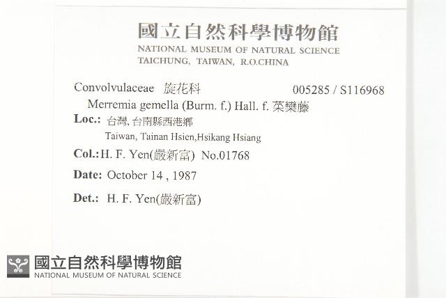 菜欒藤藏品圖，第2張