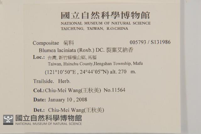 臺灣梣藏品圖，第2張