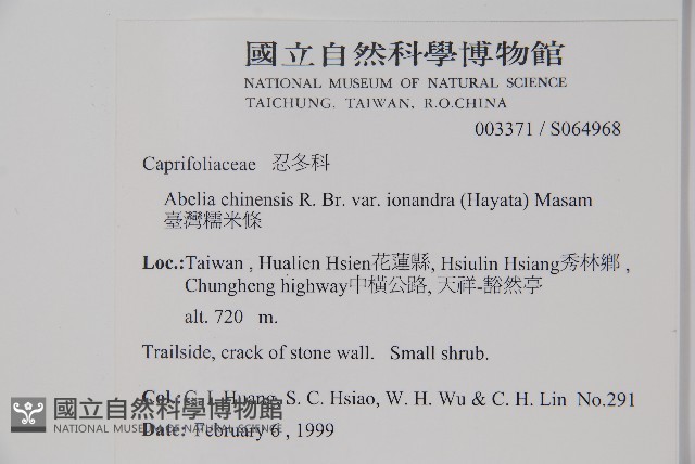 臺灣糯米條藏品圖，第2張