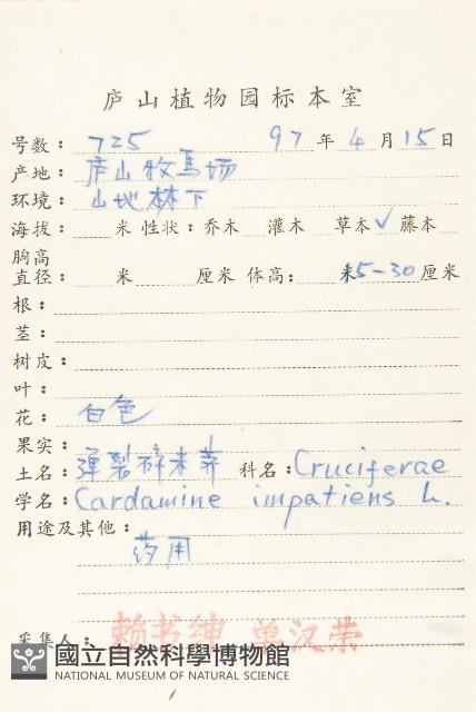 水花菜藏品圖，第2張