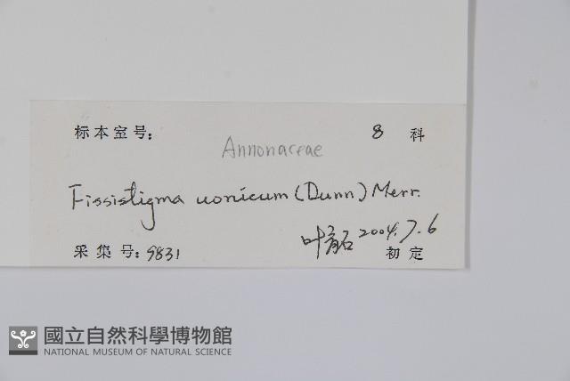 瓜馥木藏品圖，第2張