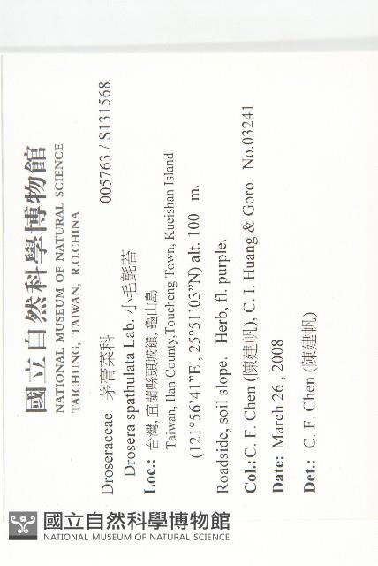 小毛氈苔藏品圖，第2張