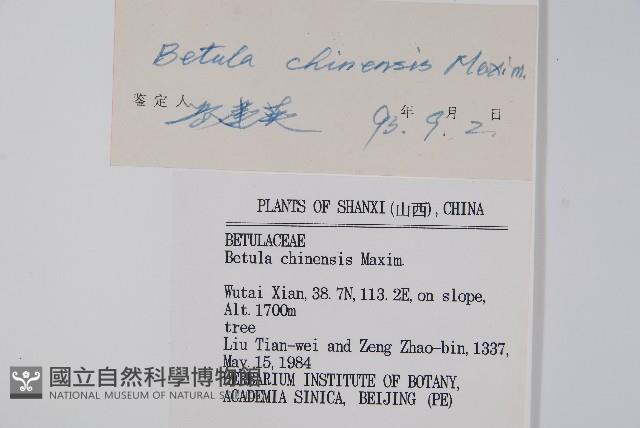 堅樺藏品圖，第2張