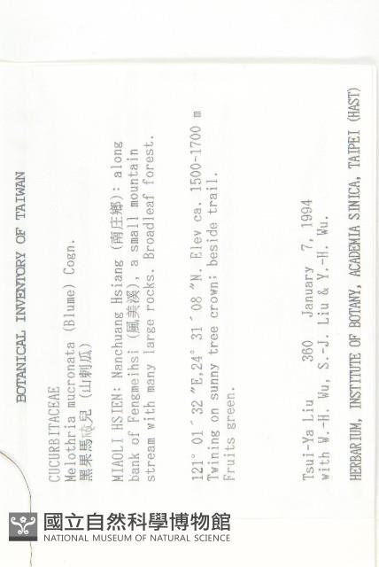 黑果馬交兒藏品圖，第2張