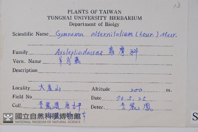羊角藤、武靴藤藏品圖，第2張