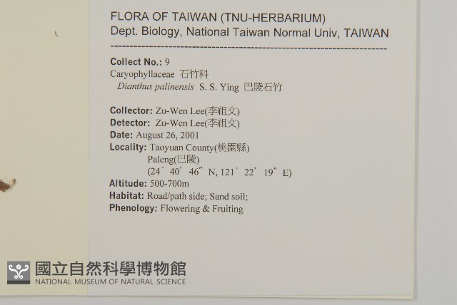巴陵石竹藏品圖，第2張