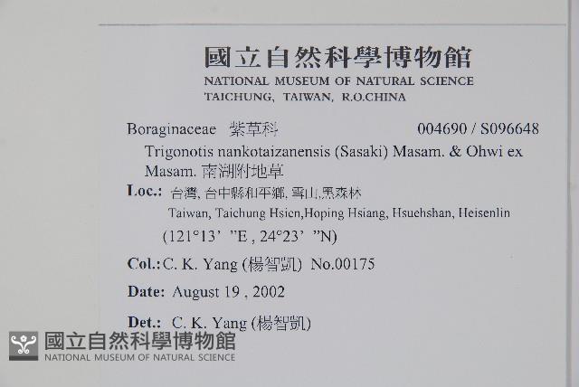 南湖附地草藏品圖，第2張