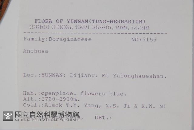 登錄號:S031648藏品圖，第2張