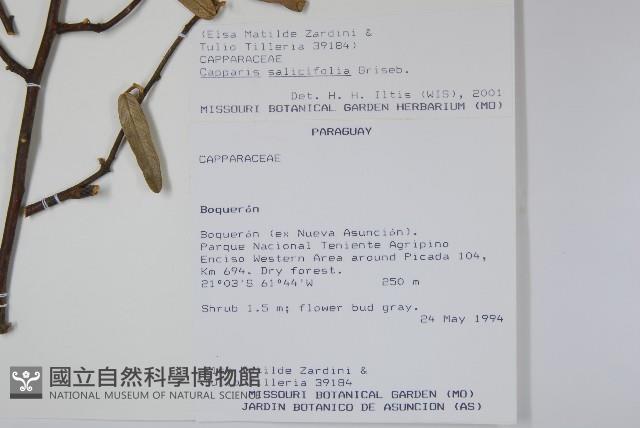 登錄號:S081648藏品圖，第2張