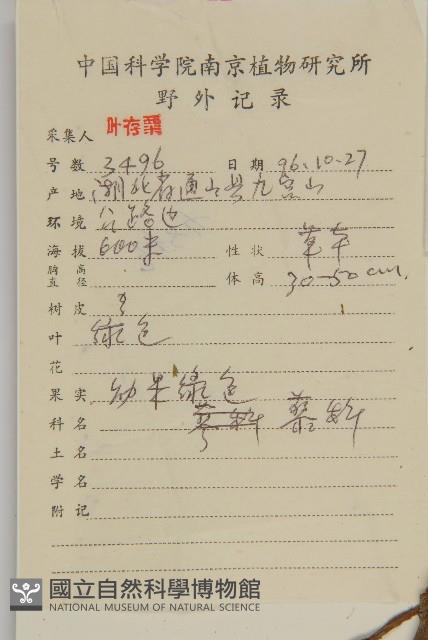 臭杏、土荊芥藏品圖，第2張