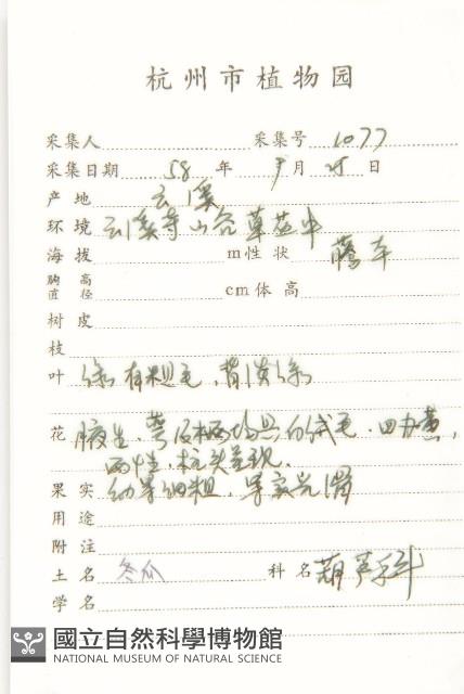 冬瓜藏品圖，第2張