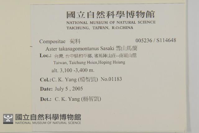 雪山馬蘭藏品圖，第2張