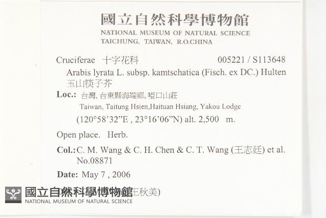 玉山筷子芥藏品圖，第2張