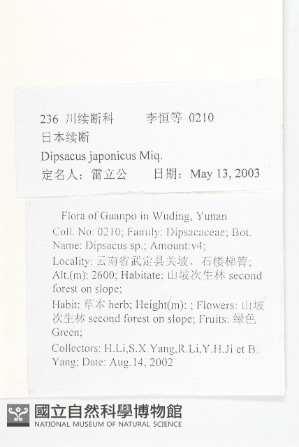 續斷藏品圖，第2張