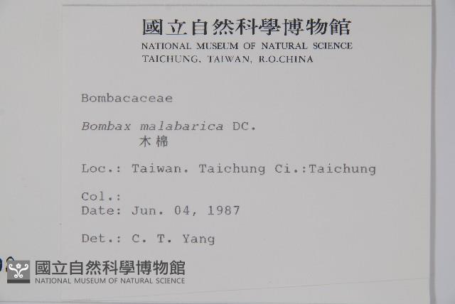 木棉、斑芝樹藏品圖，第2張