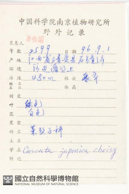 日本菟絲子藏品圖，第2張