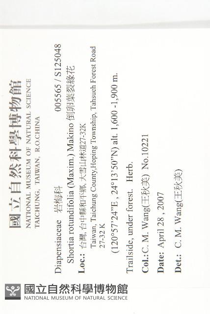 倒卵葉裂緣花藏品圖，第2張