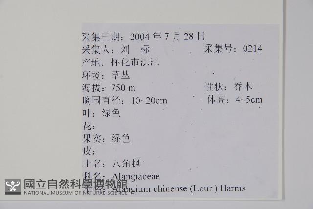 八角楓藏品圖，第2張