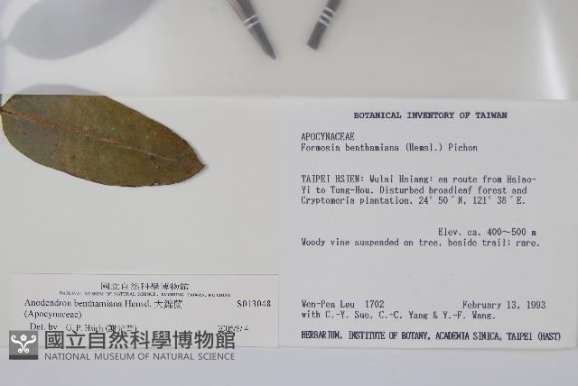 大錦蘭藏品圖，第2張