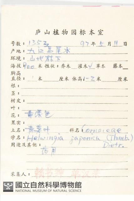 青莢葉藏品圖，第2張