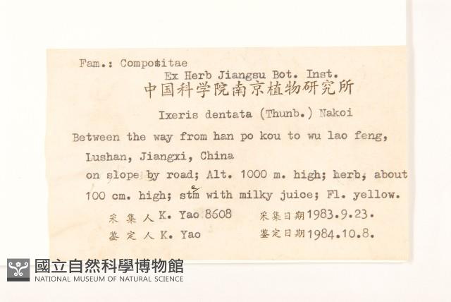 齒緣苦實藏品圖，第2張