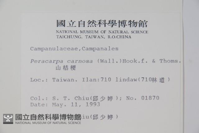 山桔梗藏品圖，第2張