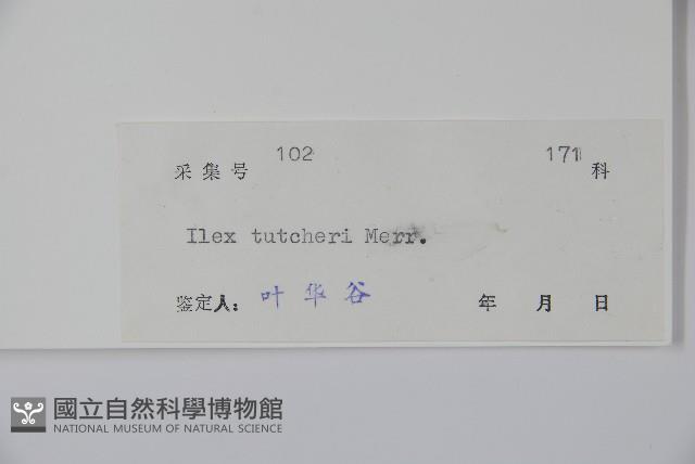 登錄號:S040748藏品圖，第2張