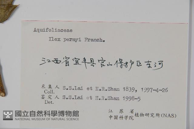 貓兒刺藏品圖，第2張