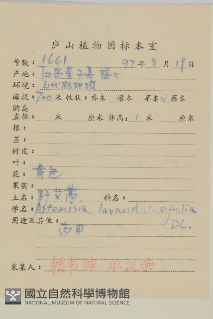 野艾蒿藏品圖，第2張