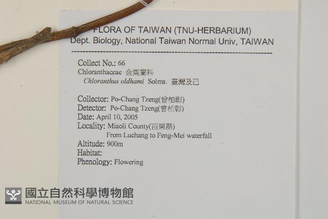 臺灣及己藏品圖，第2張