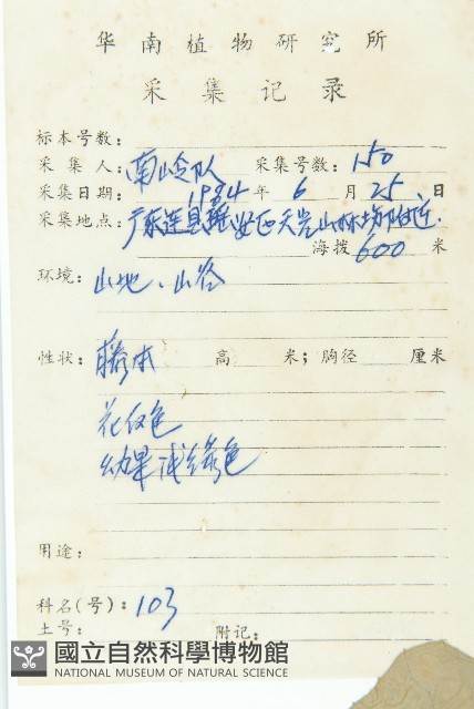 全緣括樓藏品圖，第2張